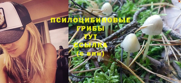 крисы Балахна